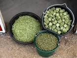 Natural Alfalfa Hay Feed Grade for Horse Chicken Cattle 25kg/ Timothy Hay / Alfalfa pellet - photo 1