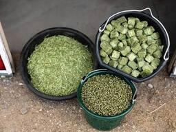 Alfalfa-hooi voor veevoer / alfalfa-hooipellets / timotheehooi in balen