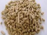 Animal Feed - Bulk Supply Direct from Farm &amp; Factory - фото 1