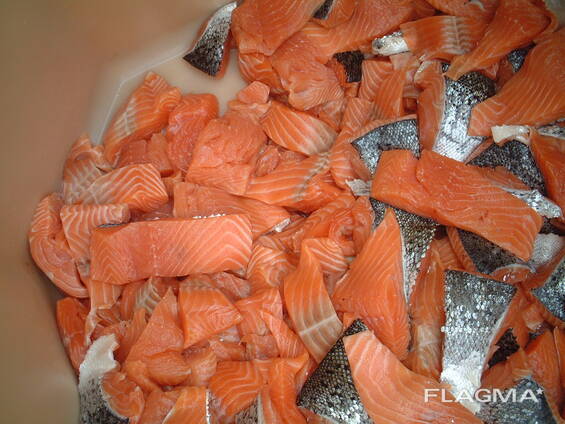 Porties Atlantische zalm