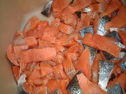 Porties Atlantische zalm