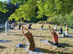 Ayurveda Yoga Teacher Training Course in Bilthoven – Indian Classical Yoga
