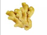 Best Ginger, fresh and Dried - photo 2