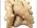 Best Ginger, fresh and Dried - photo 3