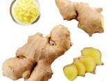 Best Ginger, fresh and Dried, best market price - photo 4