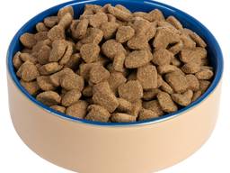 Best quality dry dog food