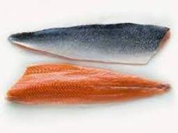 Bevroren vis/bevroren roze zalmfilet/zalmvis zonder been