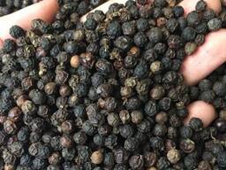 Black Pepper | High quality Ceylon black pepper 100% natural | wholesale black pepper