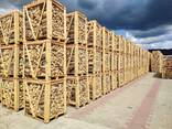 Brandhout: Kunstmatig gedroogd hardhout van hoge kwaliteit - photo 3