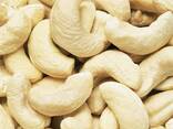 Cashew Nuts W180 W320 W450 Wholesale Vietnam Cashew Nuts Price Viet Nam - фото 3