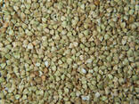 Certified Organic Roasted Buckwheat - фото 1
