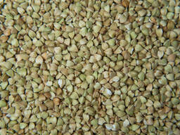 Certified Organic Roasted Buckwheat