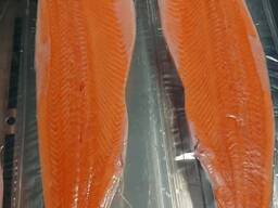 Cheap Norwegian Salmon Fish Fillets/Whole Salmon, Salmon Trout/ Mackerel Fish