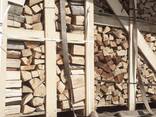 Chopped beech firewood / Дрова колоті букові - фото 10