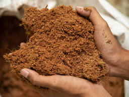 Coir Fibre