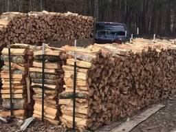 Firewood/ Oak firewood