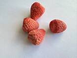 Groothandel in gevriesdroogd fruit - photo 14