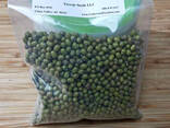 Green mung beans - photo 2
