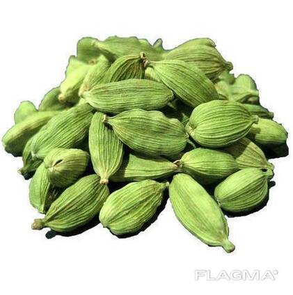 Groene kardemom te koop in Utrecht