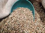 Green coffee, unroasted, assorted. - фото 1