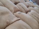 Green coffee, unroasted, assorted. - фото 2