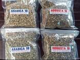 Green coffee, unroasted, assorted. - фото 4