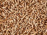 Groothandel in houtpellets van hoge premium kwaliteit - фото 1