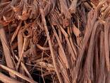 High Quality Used Copper Wire Copper Wire and Cable Scrap for Sale Purity 99.9%, 99.99% Co - photo 1