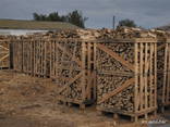 Hornbeam Firewood Beukenhout Haardhout - фото 9