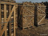 Hornbeam Firewood Beukenhout Haardhout - фото 10