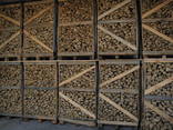 Hornbeam Firewood Beukenhout Haardhout - фото 2