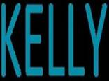Kelly Flow Control Valve Co. , Ltd. - photo 1