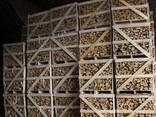 Kiln dried firewood - фото 2