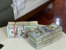 I will buy a 49% share in the business