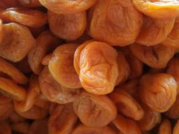 Курага и сушенный абрикос из Солнечного Узбекистана