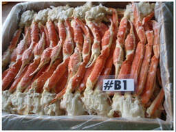 Live Red Norway King Crab/Fresh Mud Crabs Red King Crabs Soft Shell Crabs/ Blue Crabs
