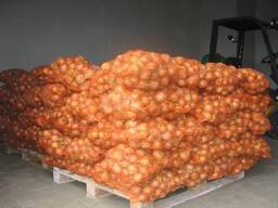 Verse uienproducent Spanje