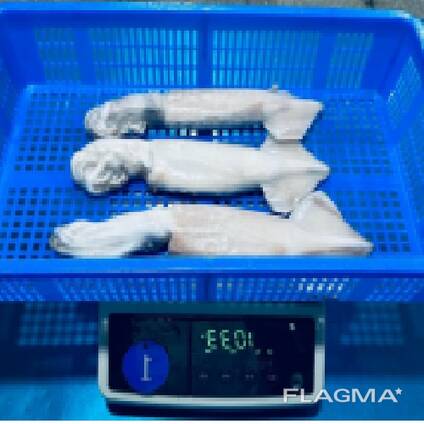 Мороженные морепродукты и рыба в Нидерланды от завода из Китая