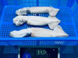 Мороженные морепродукты и рыба в Нидерланды от завода из Китая