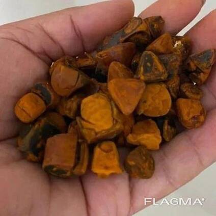 100% natuurlijke galstenen van runderen/ossen