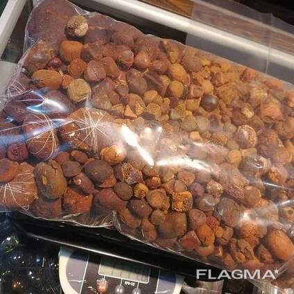 Galstenen bij koeien/ossen