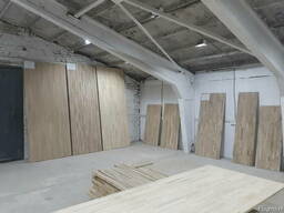 Oak panel. Oak shield