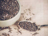 Organic Black Chia Seed - фото 1