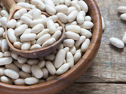 Organic Cannellini Beans