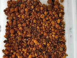 OX gallstones Cattle OX Gallstones Cow gallstones / Gall Stones For Sale / Gallstones / Ox