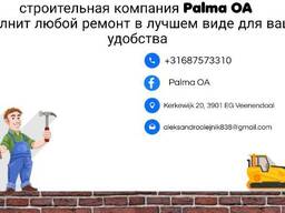 Palma_oa