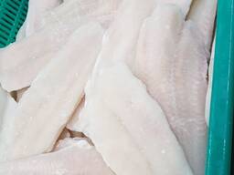 Pangasius fillets and whole frozen panga fish