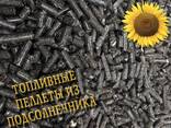 Пеллеты из лузги подсолнечника - фото 1