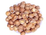 Premium Raw Hazelnut Kernels Bulk Wholesale 11-13mm / 13-15mm Grade AA Natural Dried Blanc - photo 6