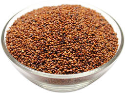 Quality Organic Red Quinoa Grains/White Quinoa and Black Quinoa